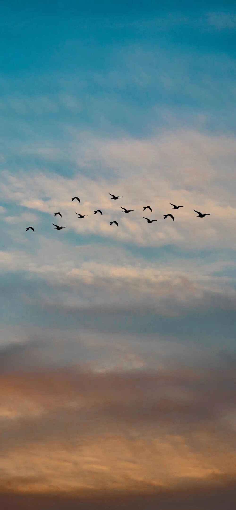 天空 海