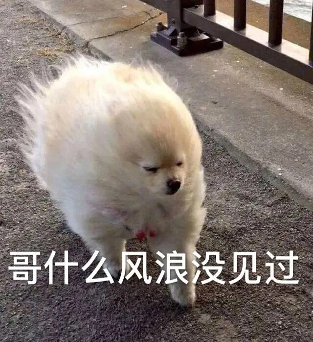 沙雕表情包