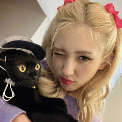 曺柔理//姜惠元//somi