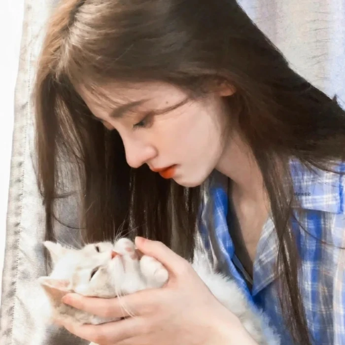 猫咪很可爱 你也是
