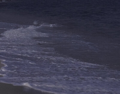 
海不会等风 风也不会留恋海