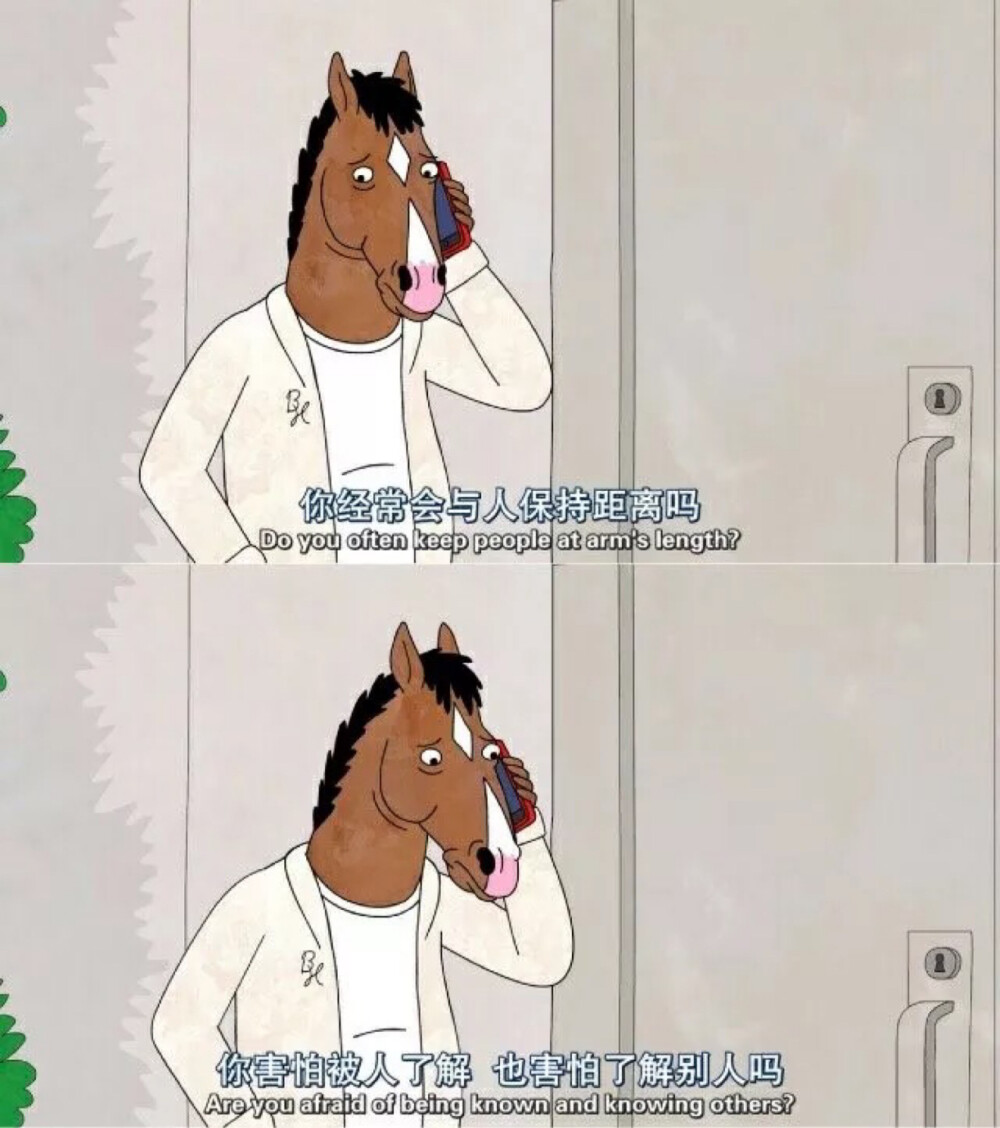 ✆ 台词截图拼接｜美国动画｜马男波杰克( BoJack Horseman )