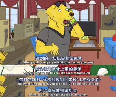 ✆ 台词截图拼接｜美国动画｜马男波杰克( BoJack Horseman )