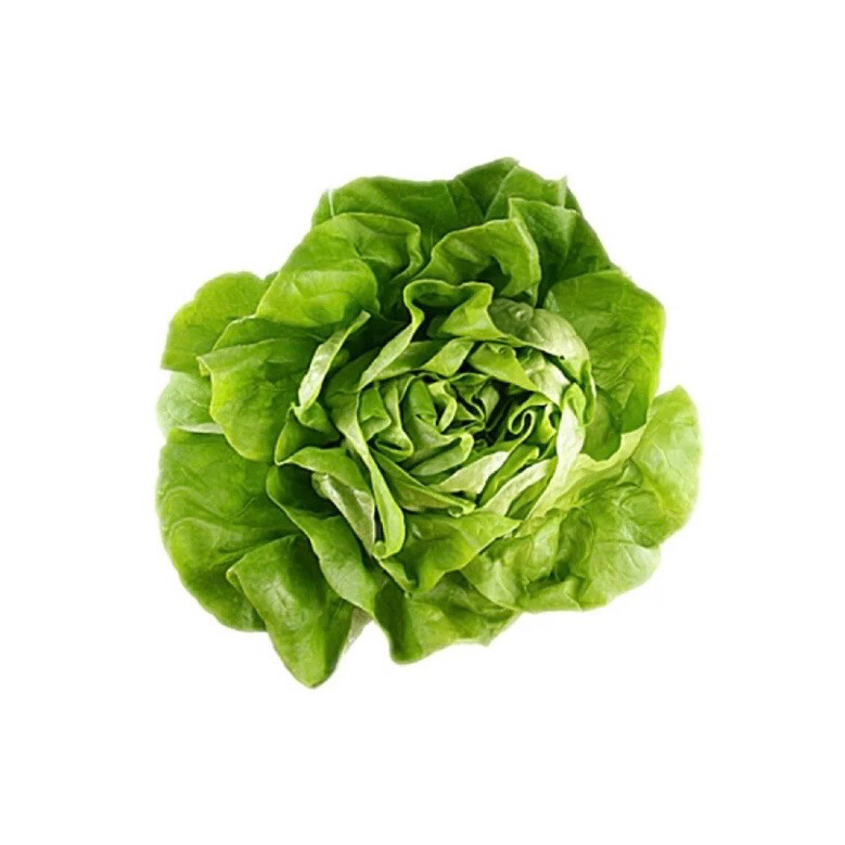 绿色蔬菜头像图片