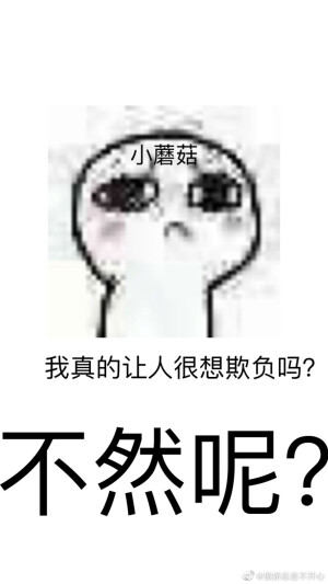 小蘑菇