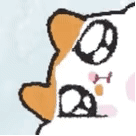 表情