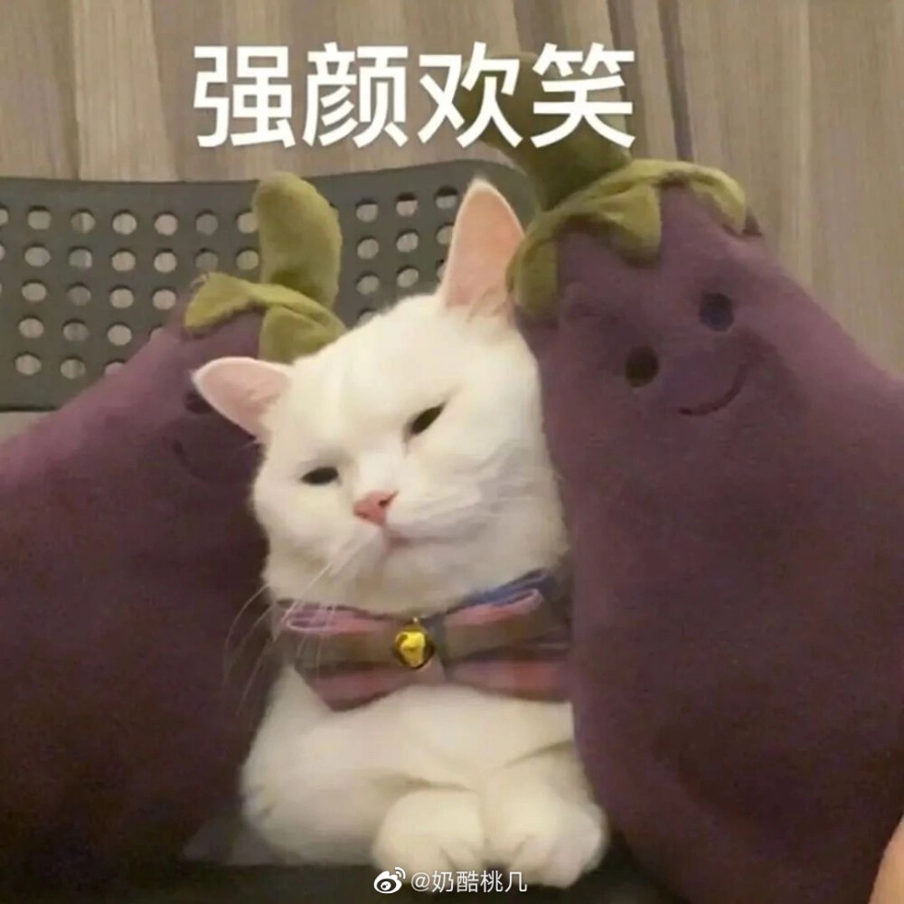 表情