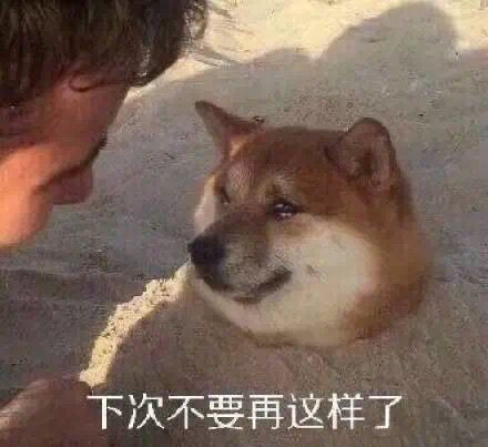 盗的