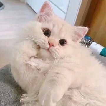 女生头像可爱