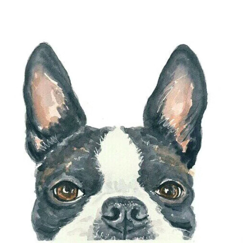 不知原作者，侵权删除