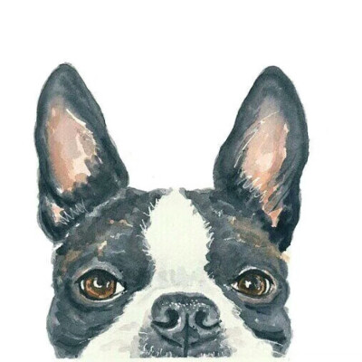 不知原作者，侵权删除