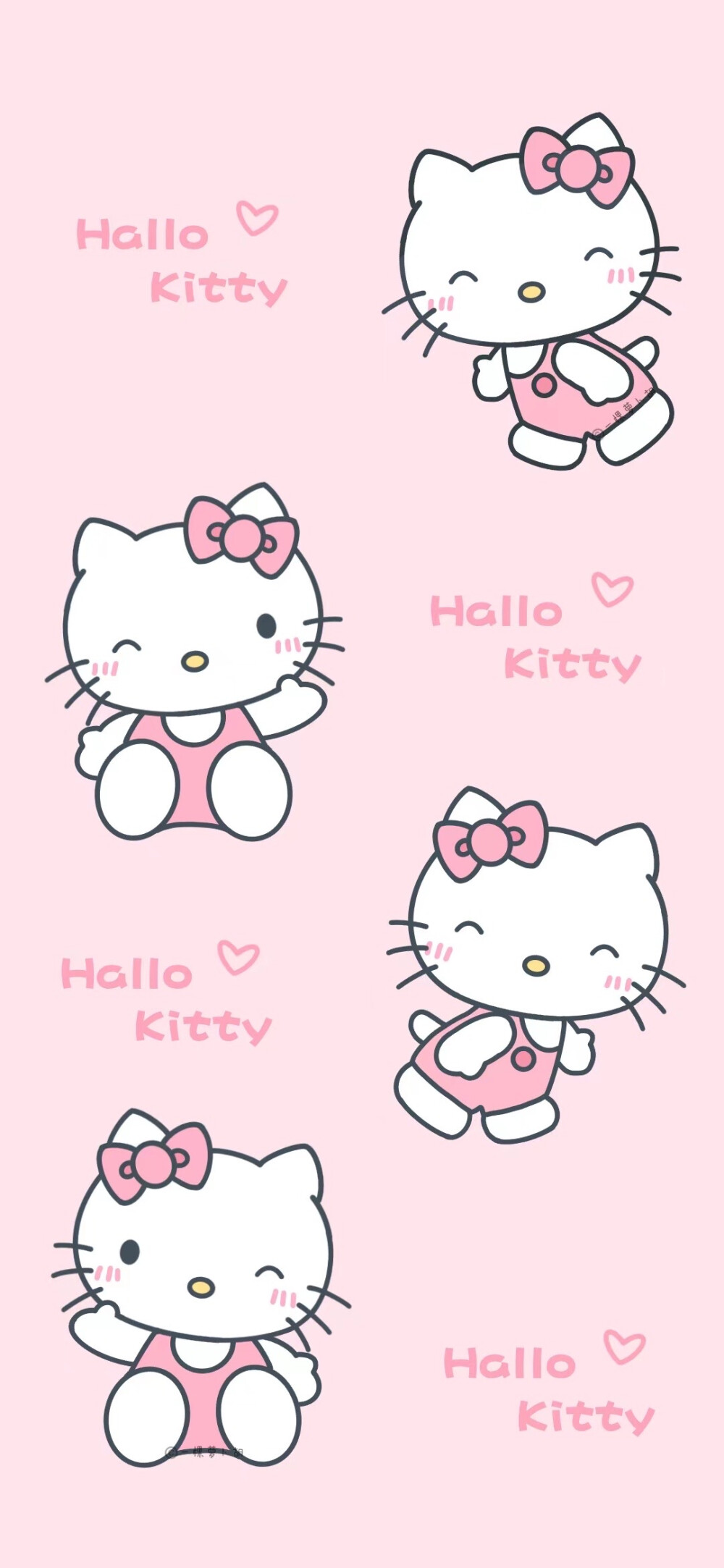 kitty