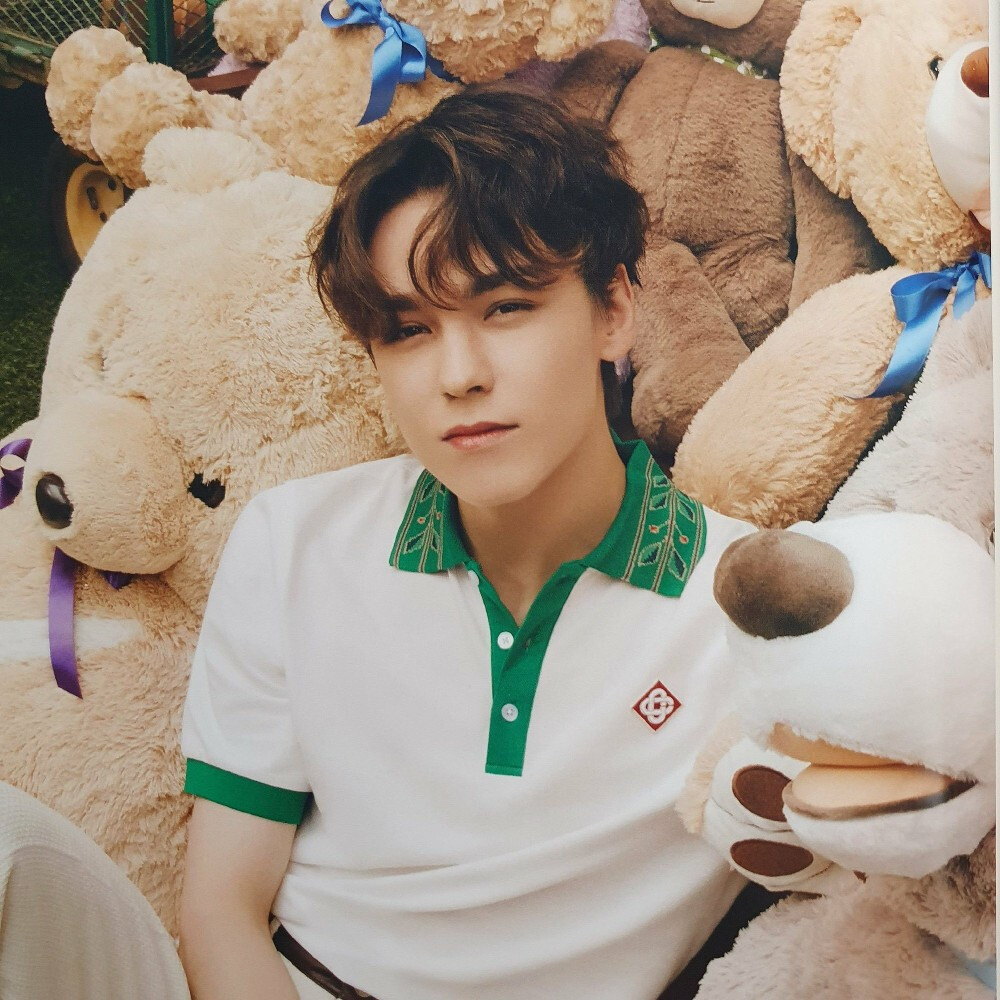 崔瀚率 VERNON