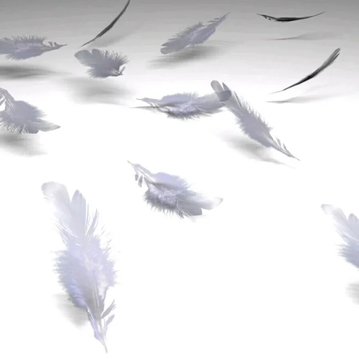 jisoo rosé可二改/注明金智莹/先收藏专辑后改