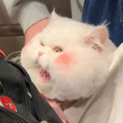 男 女 头像 侵权删