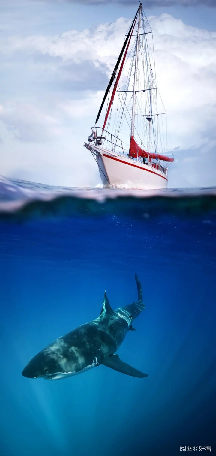 高清壁纸美图摄影