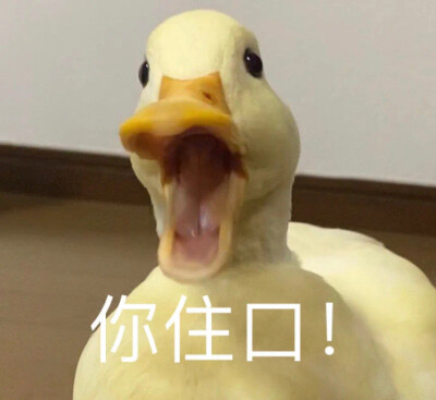 搞笑 表情包