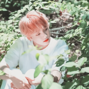 你说你是神明还是救赎
Jungkook/田柾国
©闵雨汐