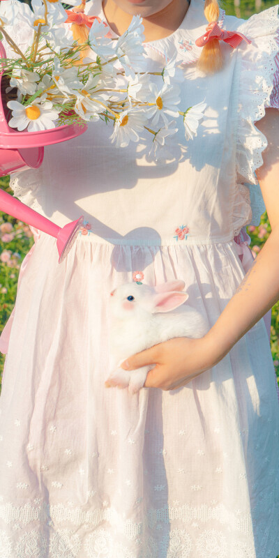 图源：名侦探牛奶喵