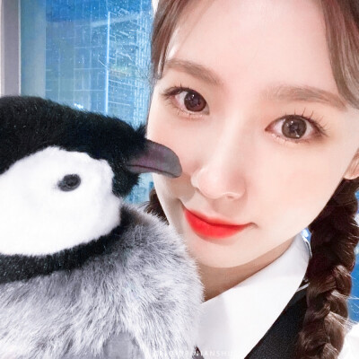 / 安宥真 赵美延 孙胜完wendy