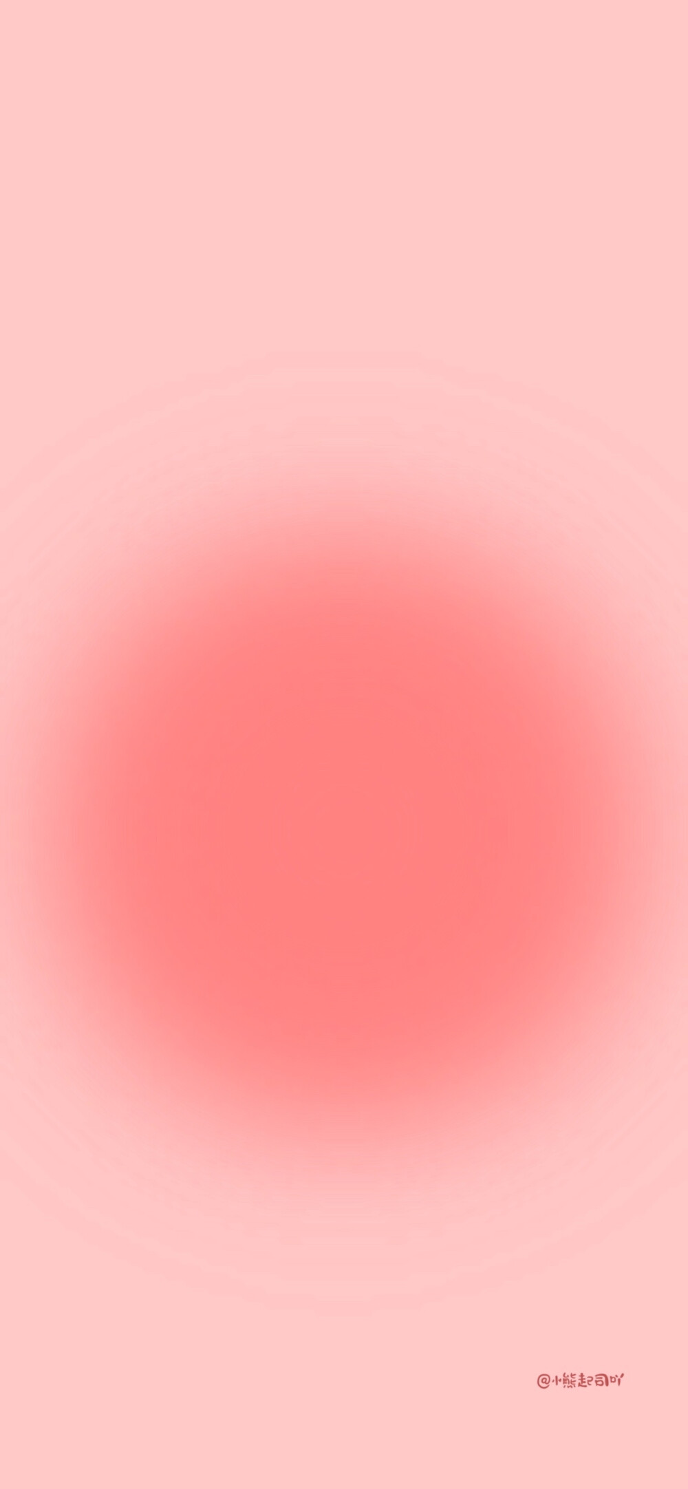 微博:小熊起司吖