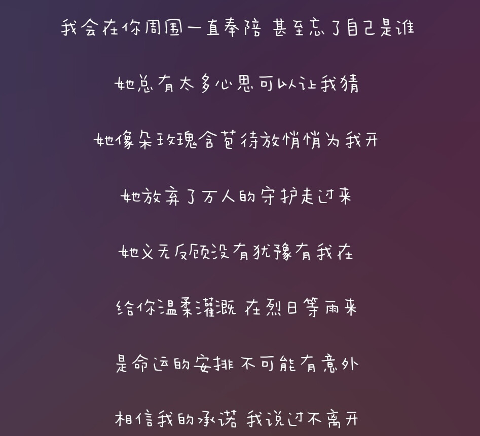  玫瑰 //