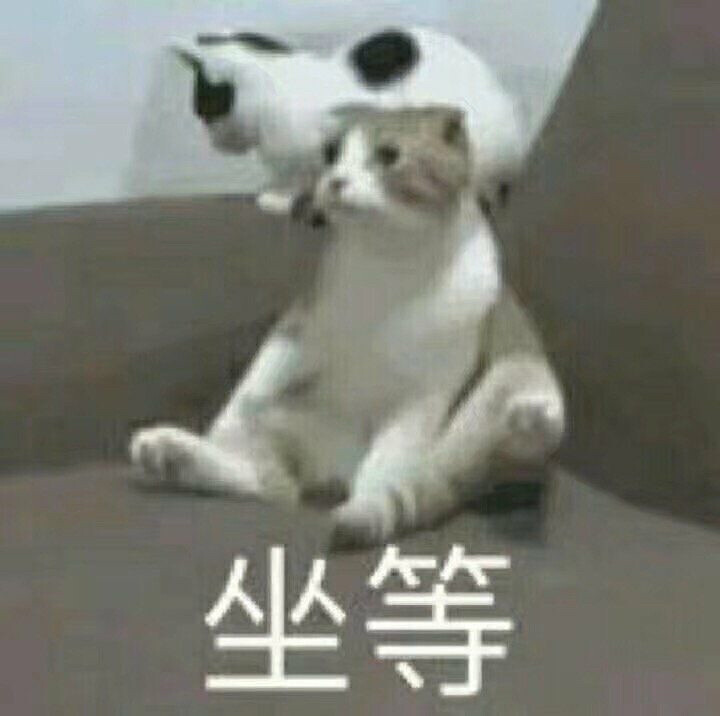 猫咪表情包，猛男必备