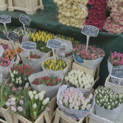  | 『 一 期 背 景 图 』
“ 花和浪漫永不过时 ”