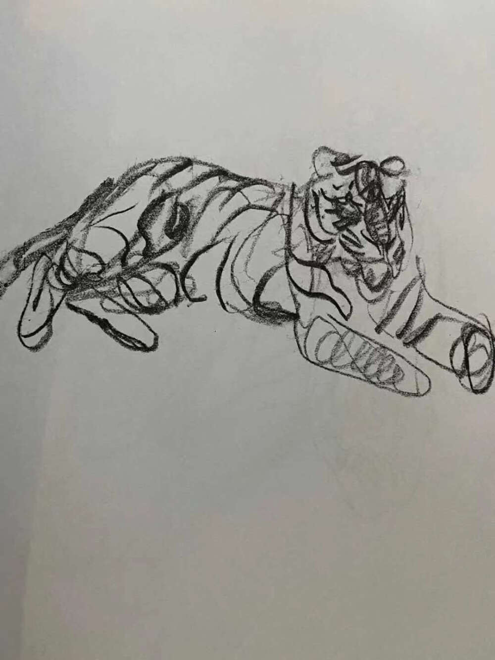 周永阳动物速写作品选，虎，画龙画虎皆为大器，双眸锐利,散发着凌凛冽的气息,俯瞰一切的霸气.似乎只要一声吼叫,整个森林便会自发颤抖,万众生灵皆会俯首称臣.