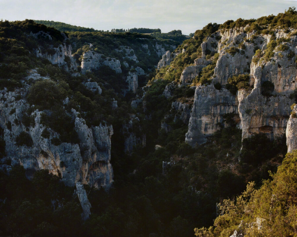 more or less f/w 2021 "wild child" 秋日自然风景