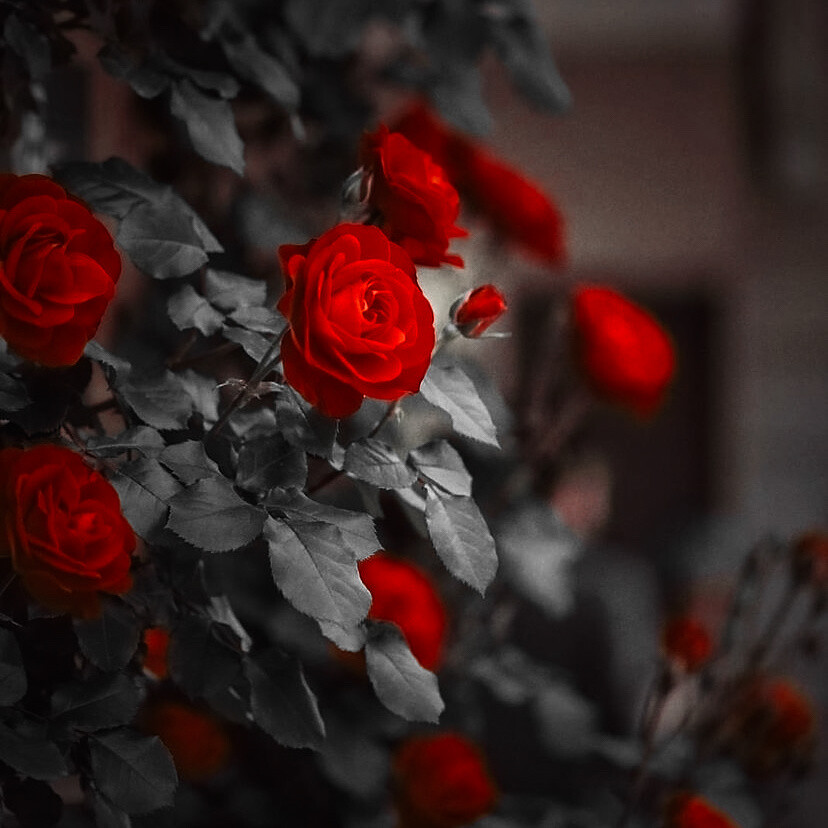 闵玧其 >>*同淋雪、
P345原©Sugameow_309。