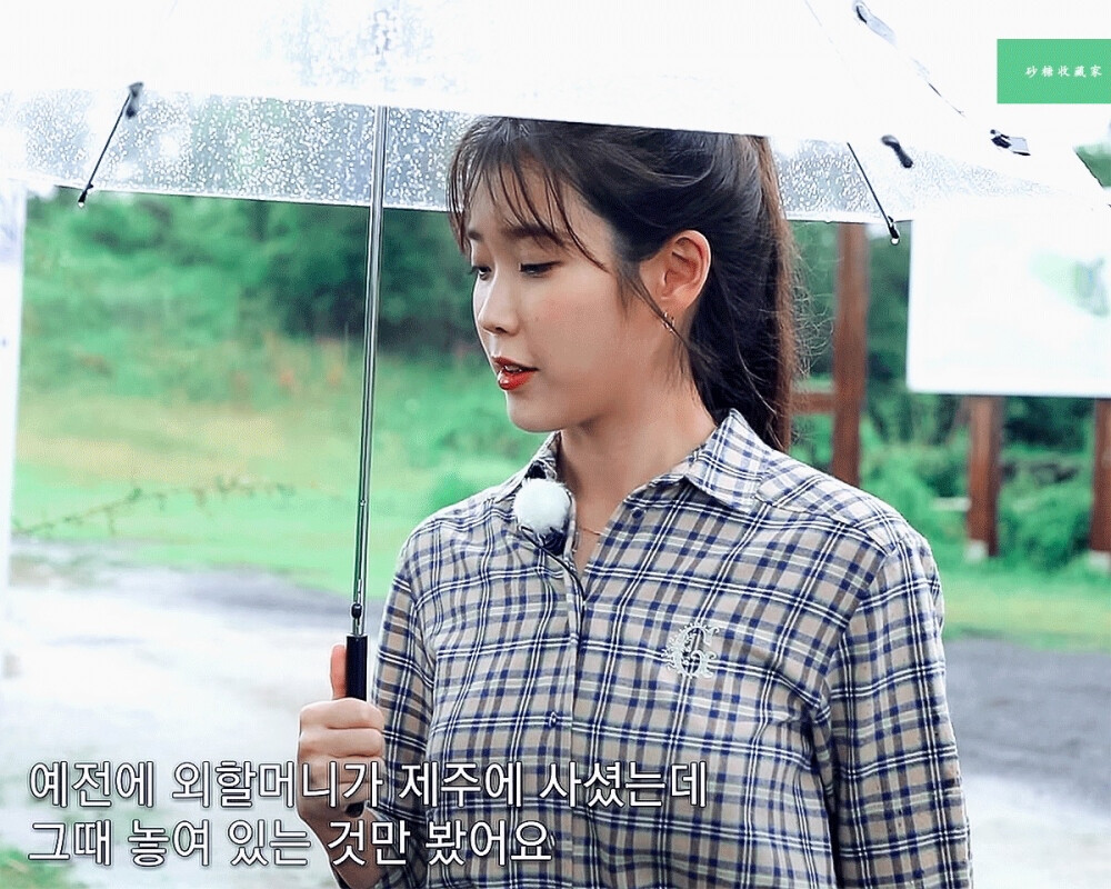 IU | 树啊树啊
cr:砂糖收藏家