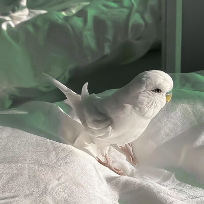 *没有艺术家不爱自己的缪斯
//TadyDotCom