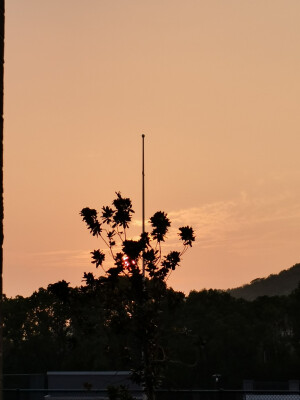 承诺是骗人的空话