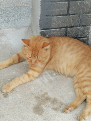 姐姐希望你健健康康的