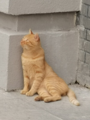 姐姐希望你健健康康的