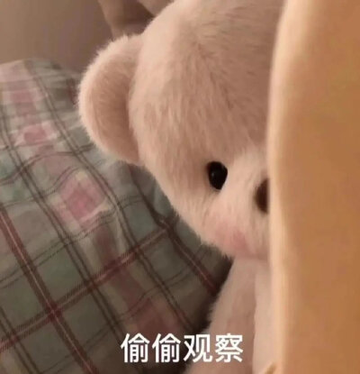 小熊