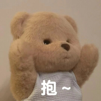 小熊