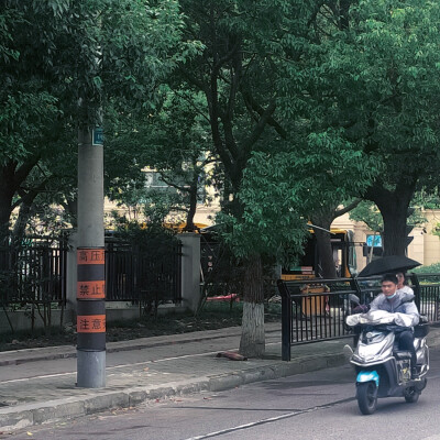 你是我独一无二的艺术感