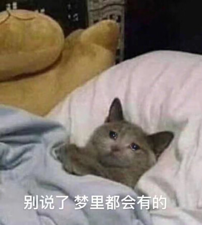 沙雕表情包