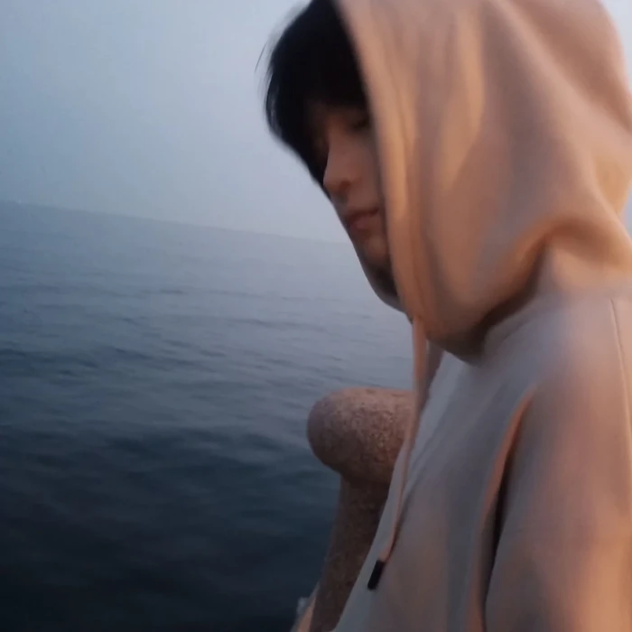 dt我只有热爱了