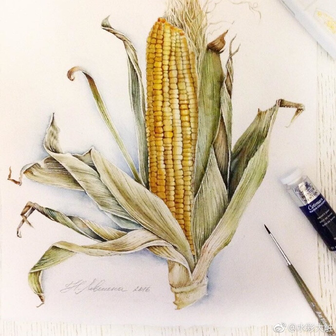 艺术家 Natasha Levshina水彩佳作