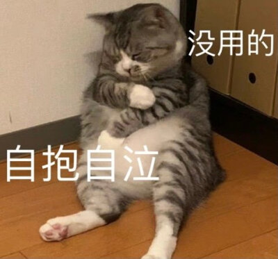 来点?