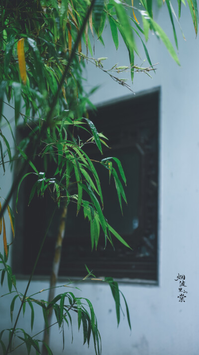 雨后，染就一溪新绿