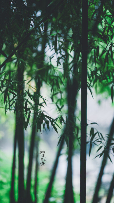 【瞻园】
雨晴烟晚，绿水新池满
双燕飞来垂柳院，小阁画帘高卷