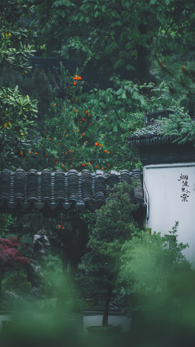 【瞻园】
雨晴烟晚，绿水新池满
双燕飞来垂柳院，小阁画帘高卷