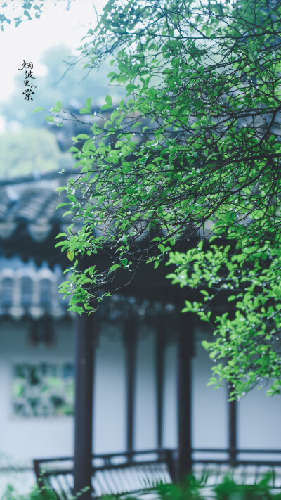 【瞻园】雨后的一种别样清丽