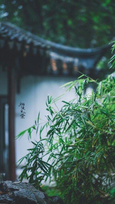 【瞻园】雨后的一种别样清丽