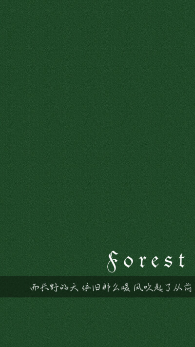 纯色壁纸
起风了系列