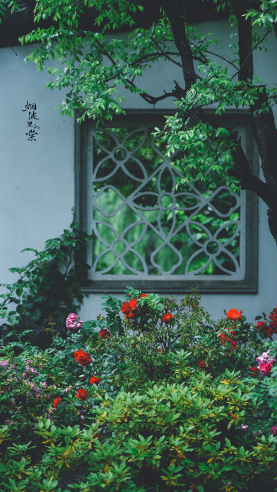 【瞻园】雨后的一种别样清丽